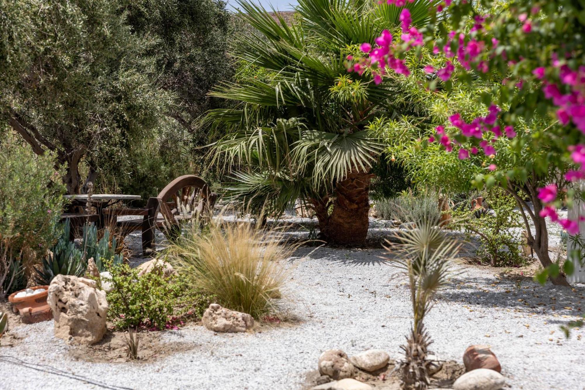 Helios Beach Studios Pláka Dış mekan fotoğraf